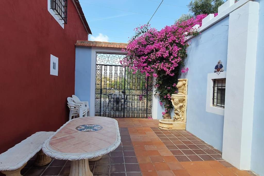 Oasis De Ifre Villa Caserío Cañada de Gallego Exterior photo