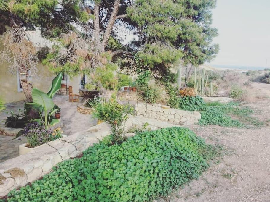 Oasis De Ifre Villa Caserío Cañada de Gallego Exterior photo