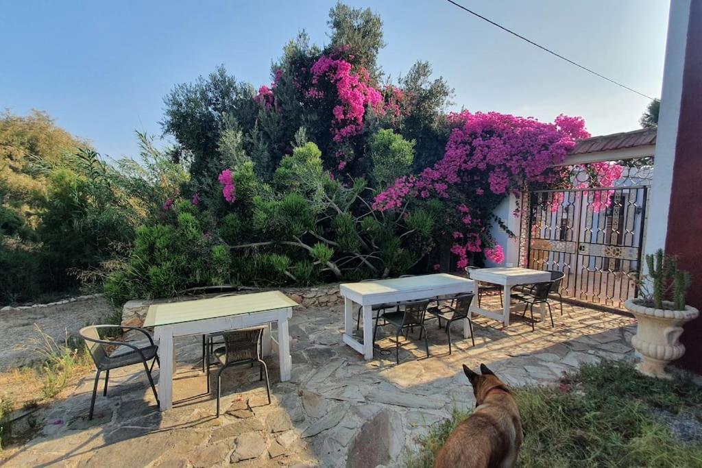 Oasis De Ifre Villa Caserío Cañada de Gallego Exterior photo
