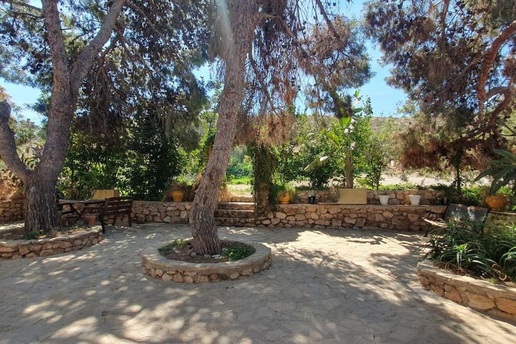 Oasis De Ifre Villa Caserío Cañada de Gallego Exterior photo